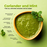 Zaika Mint & Coriander Chutney