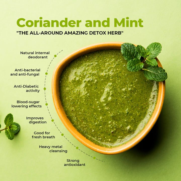 Zaika Mint & Coriander Chutney