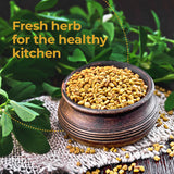 Zaika Fenugreek (Methi) Seed